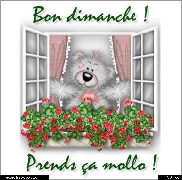 Bon dimanche à tous !